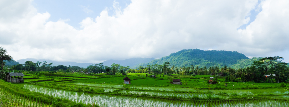 Balinese Landscape